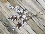 Farmhouse Style Cotton Boll Stems - 3 Farmhouse Style - Farmhouse Florals